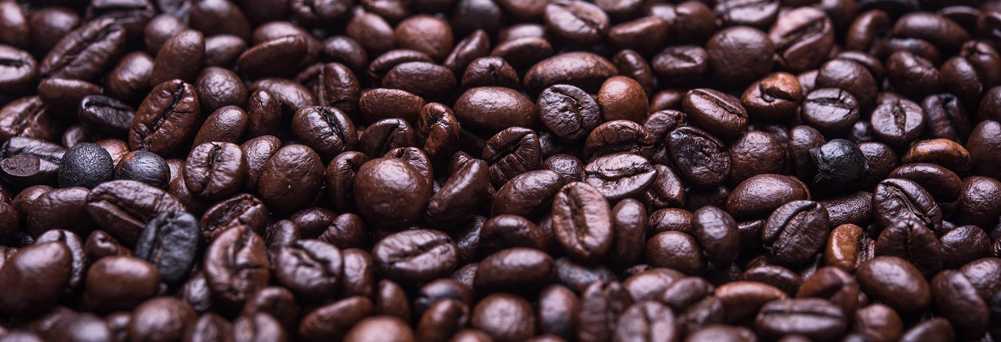 Barone Coffee Company Coffee beans